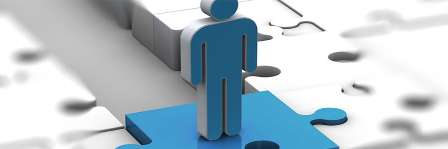Interim Management